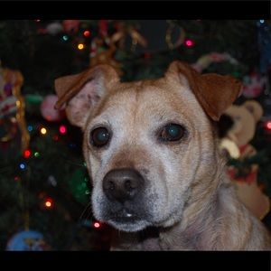 Meet your Posher, Lillian